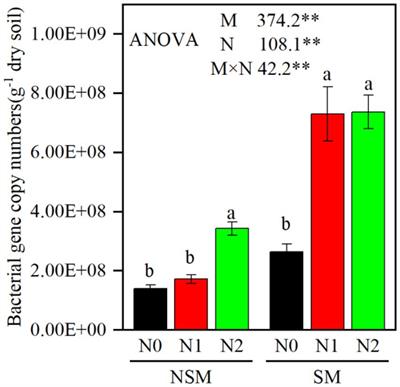 Response of soil bacterial communities in wheat rhizosphere to straw mulching and N fertilization